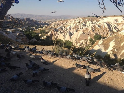 Luoghi da visitare in Cappadocia