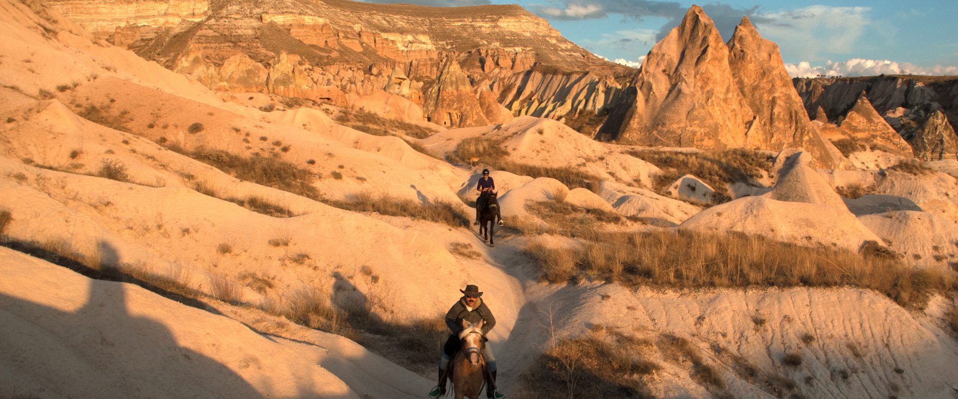 Horse Tour